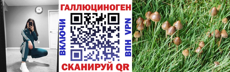 Псилоцибиновые грибы ЛСД  Купить где  Малоархангельск 